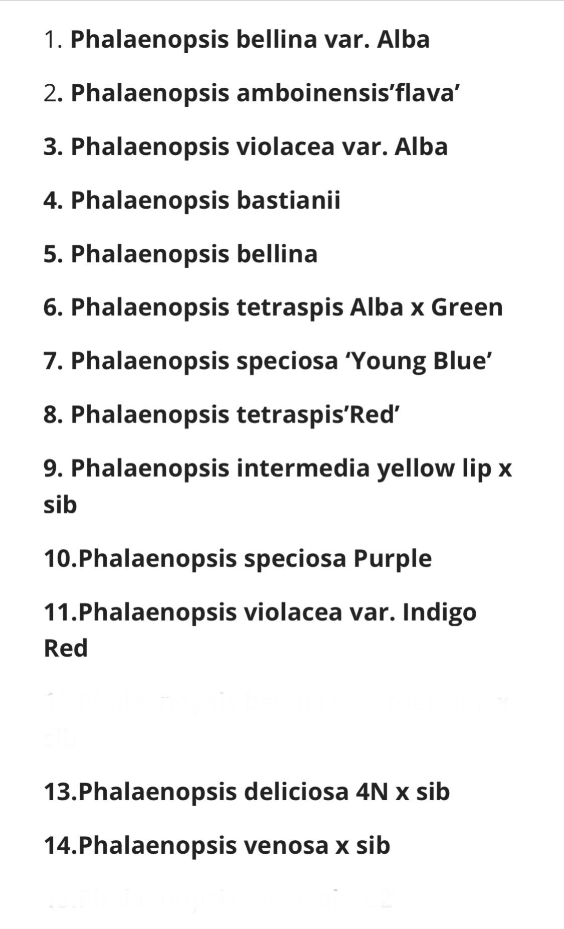 Phalaenopsis species special (PICK 3 from list below)
