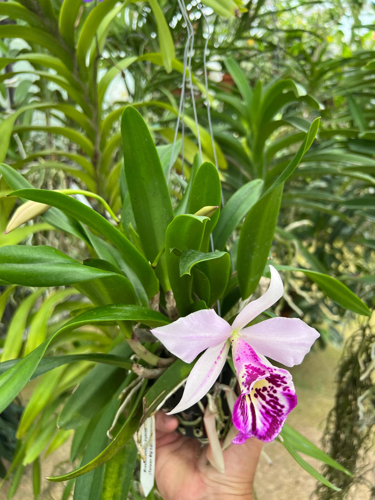 image_3d2d0cbb-557f-49b6-a03c-