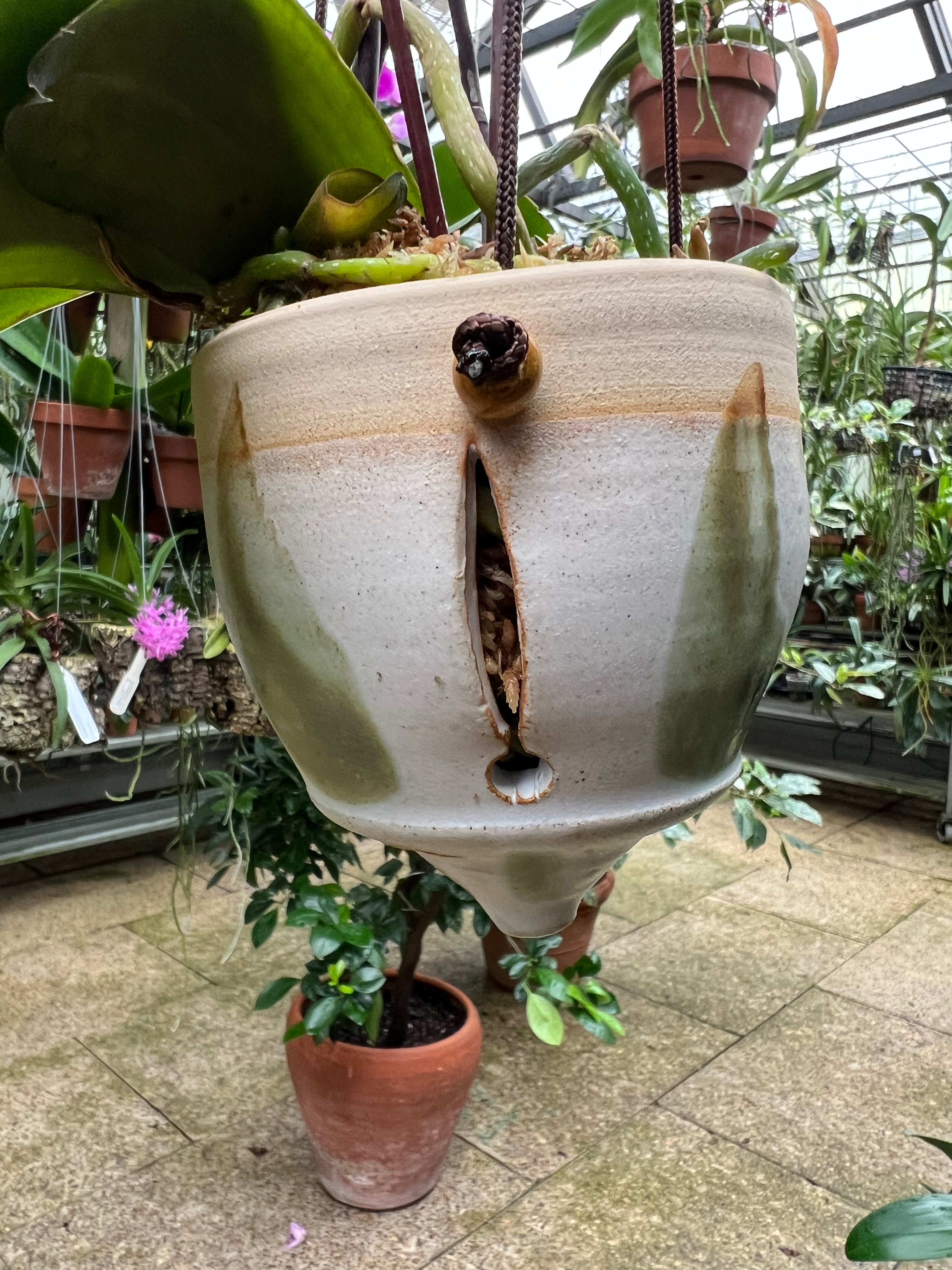 goblet plant pot Exclusive handmade orchid pots (Orchid Goblet) by a local potter 580Po – Orchid Classics