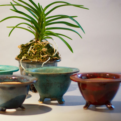 Handmade Pot (An Orchid Classics Exclusive)